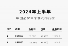 銷冠比亞迪，“不要利潤”
