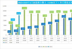 2月新能源小微卡暴漲165% 奇瑞/福田爭第二 